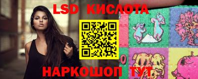 гидра Славгород