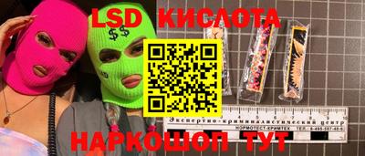 гидра Славгород