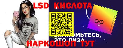 гидра Славгород