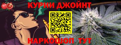 гидра Славгород