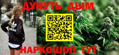 гидра Славгород