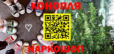 гидра Славгород