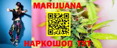 гидра Славгород
