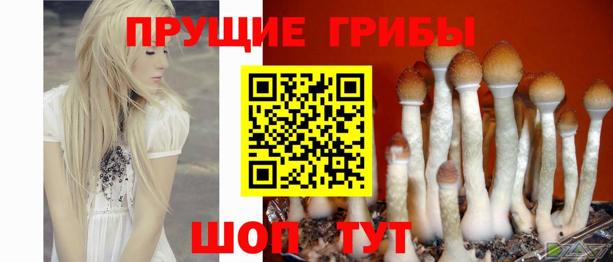 Петрозаводск  Галлюциногенные грибы ЛСД  Вход с VPN 